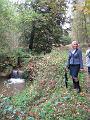 Herfstwandeling op 20-10-2013 (17)